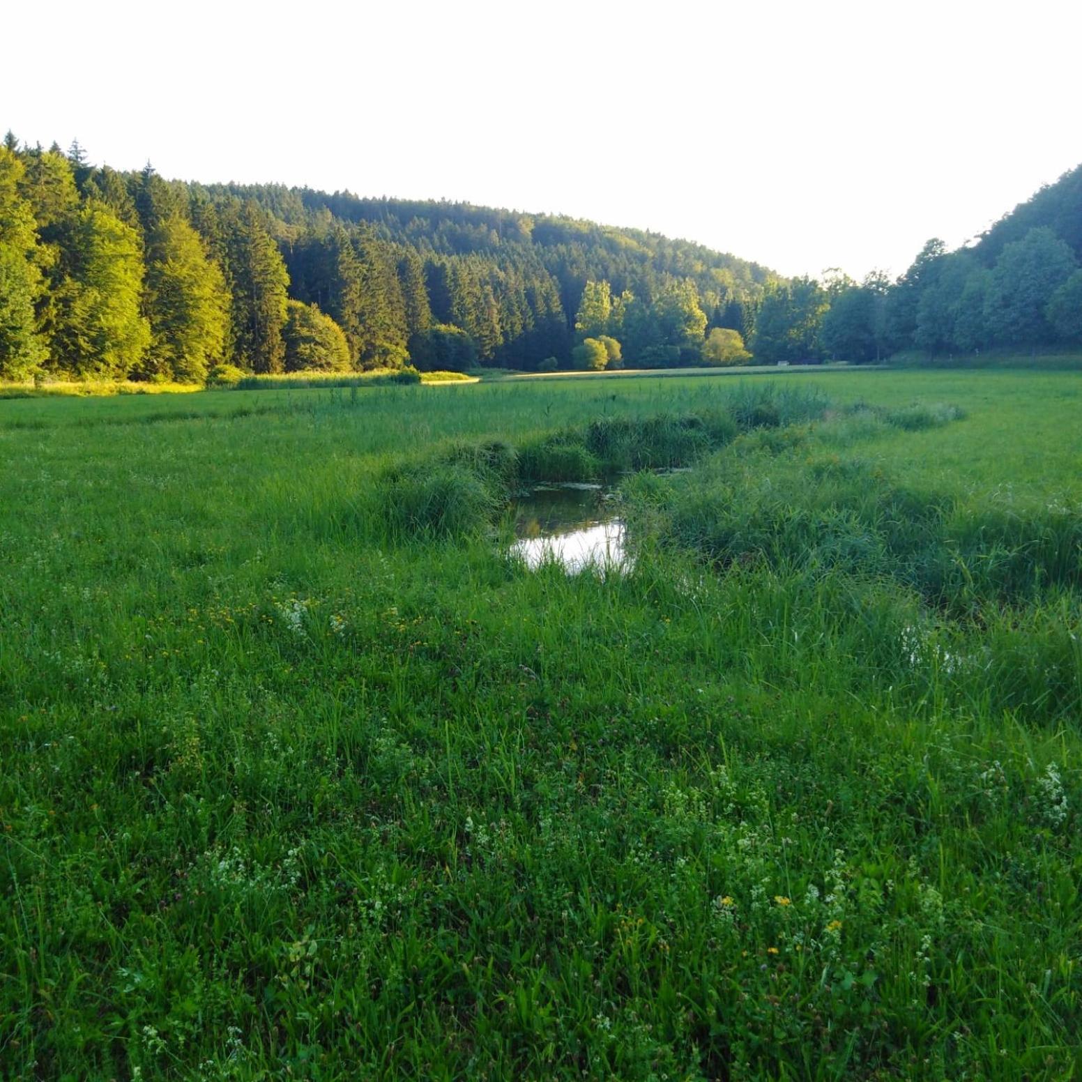 Ferienhaus Am Bach Mit Grossem Garten Deuerling Zewnętrze zdjęcie